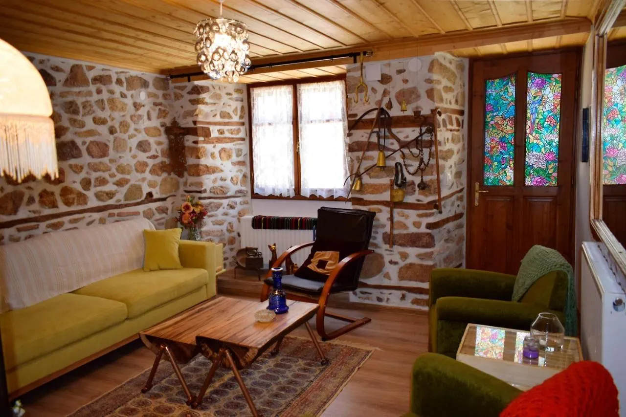 Renovated Old Manor House With Yard Villa Arnaia Greece