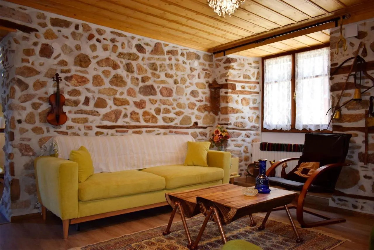 아나이아 Renovated Old Manor House With Yard 빌라 펜션